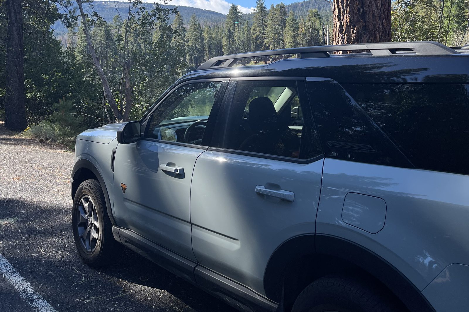 Daisy, a sage-green Ford Bronco Sport, parked among tall pines with a mountain valley view behind